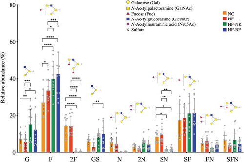 Figure 4. Effect of diet on the relative abundance of O-glycan structures on gut mucins. Glycans are grouped based on the type and presence of terminal residues: G- Gal, F- Fuc, 2F- double Fuc, GS-sulfate and Gal, N-Neu5Ac, 2N- double Neu5Ac, SN- sulfate and Neu5Ac, SF- sulfate and Fuc, FN- Fuc and Neu5Ac, and SFN- sulfate, Fuc and Neu5Ac. Statistically significant differences in glycan abundances between dietary groups (NC-normal chow, HF-high fat diet, HF-NK-high fat diet modified with NutriKane and HF-BF-high fat diet modified with Benefiber) were identified using two-way ANOVA with Tukey’s multiple comparison tests (****P < .0001, ***P < .001, **P < .01, *P < .05).