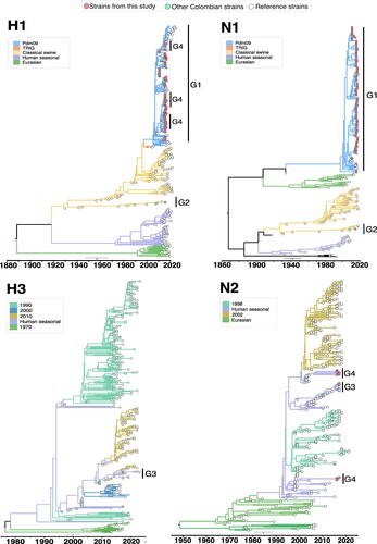 Figure 2. Recombination analysis of polymerases genes (PA, PB1 and PB2) of reassortant viruses from Colombia. Nucleotide pairwise identity (NPI) analysis was conducted using RDP4 program using the RDP method. Other seven methods were also applied. Each chart represents the NPI between the sequences. The NPI is calculated as the percentage of nucleotides that are identical between the compared sequences, with values ranging from 0% (no identity) to 100% (complete identity). Left panel shows the results for H1N1-M1956, while the right panel shows results for H3N2-M10721. Analysis of the PA gene (A and B); PB1gene (C and D); and PB2 gene (E and F). The nucleotides positions of each recombined region are shown on X axis. Colored bar at the top of each chart shows the recombined region and the parental virus strain. Detailed information of this analysis and results from the other recombination methods used are shown in SM (S15-22).