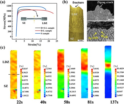 Figure 7. Tensile results of the L-direction heat-treated hybrid manufactured TC11 alloy. (a) Strain-stress curves of the heat-treated D-L, D + S-L and S samples. (b) Macroscopic image near the fracture and the crack propagate path within the β grains of the 990HT D + S-L sample. (c) DIC observations on deformation behaviours of the 990HT D + S-L sample over time.