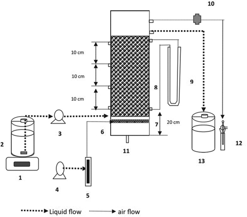 Figure 6. Schematic diagram representing the submerged aerated biofilter setup for the treatment of volatile organic compounds in pharmaceutical wastewater. (1) Magnetic stirrer, (2) Influent tank (3) Peristaltic pump, (4) Aquarium air pump, (5) Airflow meter, (6) Air inlet port, (7) Diffuser arrangement, (8) Packing media, (9) Manometer, (10) Connector for gas sampling, (11) Liquid drainage port, (12) Impinger, (13) Effluent collection tank [Citation128].