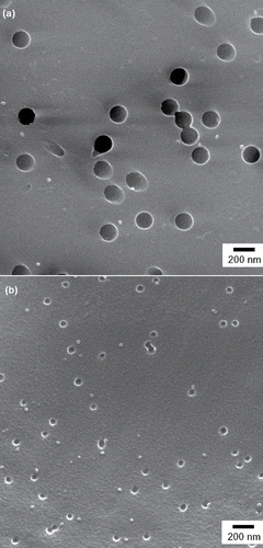 Figure 3. SEM images of (a) 30 nm Ag particles collected on the 0.2 μm pore filter and (b) 30 nm PSL particles collected on the 0.08 μm pore filter.