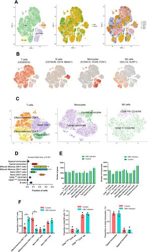 Figure 1 Single-cell RNA-Seq analysis of PBMC in pregnant women identifies nine major cell populations. Single-cell RNA-Seq was performed on single-cell suspensions generated from three HBV-infected pregnant women and three healthy pregnant women. (A) tSNE of the 51,836 cells profiled here: four major cell types; its sample type of origin (HBV-infected and healthy samples); the corresponding patient. T cells: 39,049 cells; B cells: 2947 cells; NK cells: 2465 cells; Monocytes: 7093 cells; unknown cells: 282; HBV group: 27,390 cells; Control group: 24,446 cells; Control 1: 8032 cells; Control 2: 7497 cells; Control 3: 8917 cells; HBV1: 11,208 cells; HBV 2: 7599 cells; HBV3: 8583 cells. (B) Expression of marker genes for the cell types. (C) tSNE plot of subtypes of T cells, monocytes and NK cells. (D) For 9 cell subtypes: the average fraction of each cell subtype (Kruskal–Wallis test, p<0.001). (E) The average number of genes in each cell subtype; the average number of transcripts in each cell subtype (Mann–Whitney rank test). (F) The average proportion of cell subtypes in HBV-infected and control groups (*p<0.05, Mann–Whitney rank test).