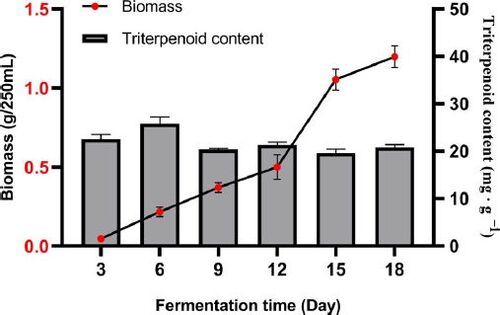 Figure 5. Biomass and triterpenoid contents during S. baumii fermentation.