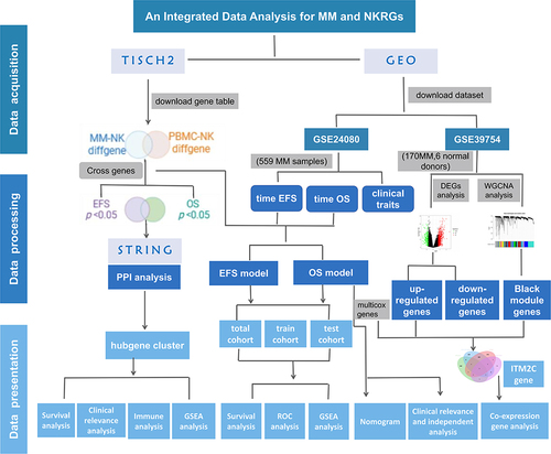 Figure 1 The detailed workflow chart analysis in our research.