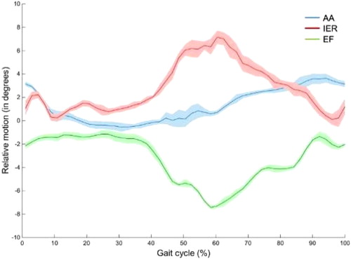 Figure 2. Relative kinematic of the virtual femur to the socket for one subject. In blue adduction/abduction (AA), in red internal/external rotation (IER), in green extension/flexion (EF). Mean and one standard deviation corridor.