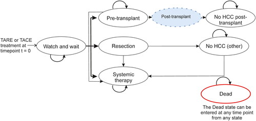 Figure 1. Markov model structure for TARE cost-effectiveness analysis. Abbreviations. Post-transplant: is made up of three states where people only stay for one cycle; Dead state, People can enter this state at any point. People enter the model in the “watch and wait” state after receiving treatment, where they either stay in this state or have a resection, liver transplant, or systemic therapy. People stay in the “resection” state for one cycle only. When in the “pre-transplant” health state, people can either move into a “post-transplant” state or to “systemic therapy”.