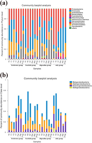 Figure 2. (a) Bacterial community structure and distribution at phylum level. (b) Bacterial community structure and distribution at class level.