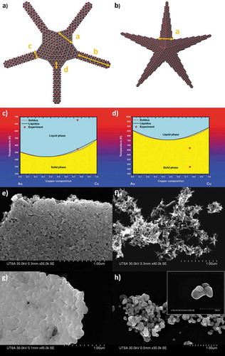 Figure 6. Top-view of the geometrical model representing (a) the rounded nanostar and (b) the pointed nanostar. a represents the length side of the decahedron. b, c, and t are the dimensions of the parallelepiped representing the branch of the nanostar (t being the thickness of the parallelepiped). d is the height of the trapeze connecting the decahedron to the parallelepiped. And h is the distance from the apex to the center of the nanostar. (c) Phase diagram of one Au1−x–Cux rounded nanostar. The dimensions of the nanostar used for this calculation are a = 25 nm, b = 40 nm, c = 15 nm, d = 7 nm and t = 10 nm. (d) Phase diagram of one Au1−x–Cux pointed nanostar. The dimensions of the nanostar used for this calculation are a = 50 nm and h = 10 nm. SEM images of the rounded and pointed nanostars at 200°C and 400°C. (e) Rounded nanostars at 200°C, (f) pointed nanostars at 200°C, (g) rounded nanostars at 400°C and (h) pointed nanostars at 400°C. The inset in (h) shows that the pointed nanostar still contains twins indicating that the pointed nanostar undergoes an atomic reorganization but not a melting transition. (Reproduced with the permission from Ref [Citation120]).