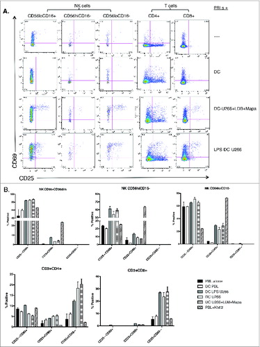 Figure 7. For figure legend, see next page. Figure 7 (See previous page). Myeloma-pulsed DCs induce increased activation of autologous NK, CD4+ and CD8+ T cells. Monocyte-derived DCs were pulsed with untreated or drug (Mapa, LDB or LDB+Mapa) treated U266 cells (as per methods) for 2 h, then co-cultured with autologous normal donor (n = 2) PBLs for a further 24 h. Cells were collected at 4 and 24 h, and activation of NK cells and T cell subsets assessed by CD69 and CD25 expression. Data presented in A are representative dot plots of NK and T cell activation in cultures from a single normal donor. Shown are PBL alone, PBL+DC, PBL+U266 pulsed MoDC (where U266 were pre-treated with LDB+Mapa), and PBL+U266 pulsed MoDC in the context of 1 μg/mL LPS. Collated data in B is from duplicate co-culture wells (single normal donor representative of two normal donor experiments) and shows the percentage of CD25−CD69+, CD25+CD69+ and CD25+CD69− cells in NK cell subsets, CD4+ and CD8+ T cells.