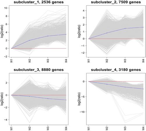 Figure 3. K-means cluster analyses of differentially expressed genes. The diagram was generated using log2-transformed ratio values. The grey lines in each subcluster represent the relative expression of genes in a cluster under different experimental conditions. The blue line indicates the average of the relative expression of all genes in this cluster under different experimental conditions. The red line is the reference, the expression above the line is upregulated, and the expression below the line is downregulated.