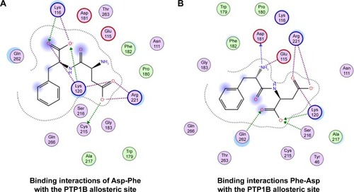 Figure 6 Binding interactions of peptides with PTP1B allosteric site.