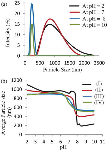 Figure 6. (a) Size distribution of MSN-PTBAEMA in buffer solution at different pH values. (b) The average particle size of MSN-PTAEBMA (I), Surface-quaternized of MSN-PTBAEMA (for 1 h) (II), Surface-quaternized of MSN-PTBAEMA (for 3 h) (III), and Surface-quaternized of MSN-PTBAEMA (for 24 h) (IV) at different pH values.