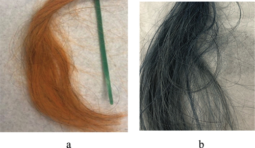 Figure 5. Grey hair coated with HNT-curcumin (a) and with HNT-indigo (b) formulations.