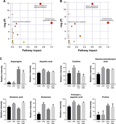 Figure 6 (A) Significant pathways of rtPA treatment-related differential metabolites. (B) Significant pathways of differential metabolites in the comparison set of rtPA+DG versus rtPA. (C) The relative intensity of the differential metabolites in the four groups. *P<0.05, **P<0.01, ***P<0.001.