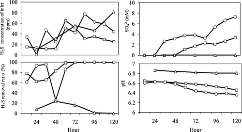 Figure 4. Influence of contamination with environmental microorganisms on H2S removal. Open circle: compost + RAN5; open square: RAN5; open triangle: compost.