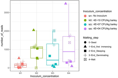 Figure 2. Relative abundance of E. gerundensis (EG) throughout the malting process. Expressed in number of reads of EG sequences per a total of 23136 reads. M1: no EG treatment; M2: barley treated with 4 x 1010 CFU EG/kg; M3: Barley treated with 4 x 107 CFU EG/kg; M4: barley treated with 4 x 104 CFU/kg; Seed: unmalted barley.