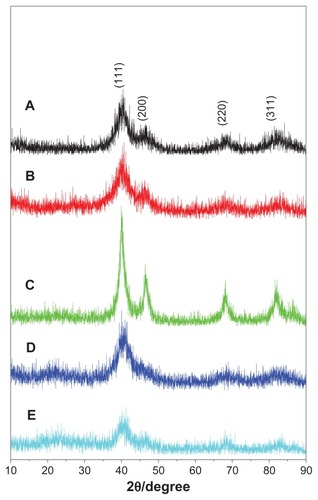 Figure 2 XRD patterns of FePt NPs synthesized at different Fe/Pt molar ratios and with different surface coatings.Notes: (A) Fe:Pt = 3:1, OA/OA; (B) Fe:Pt = 1:1, OA/OA; (C) Fe:Pt = 1:3, OA/OA; (D) Fe:Pt = 1:1, Cys; (E) Fe:Pt = 1:3, Cys.Abbreviations: XRD, X-ray diffraction; NPs, nanoparticles; OA/OA, oleic acid/oleylamine; Cys, cysteine.