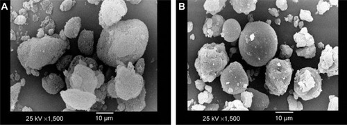 Figure 9 Scanning electron micrographs of (A) Aerosil® 200 and (B) SNEGs.Abbreviation: SNEGs, self-nanoemulsifying granules.