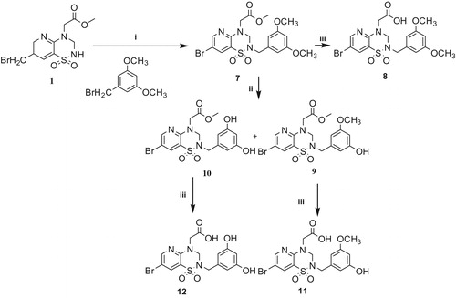 Scheme 3. Reagents and conditions: (i) K2CO3, CH3CN, 70 °C; (ii) AlCl3, CH2Cl2, 40 °C and (iii) NaOHaq., THF, then HCaq.