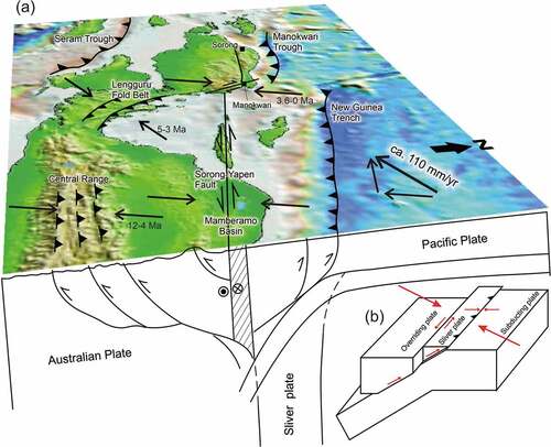 Figure 15. (a) Block diagram illustrating kinematic partitioning of oblique convergence (without scale) in northwestern New Guinea. GPS vector (black arrow) based on DeMets et al. (Citation1994), Bock et al. (Citation2003) and Puntodewo et al. (Citation1994). The diagram shows partitioning as is occurring in the last 4 Ma and also notes the timing of major shortening events in the region (Cloos et al. Citation2005; White et al. Citation2019; this paper). Note that shortening in the Lengguru Fold Belt region (including the adjacent Wandamen Peninsula) was replaced by extension post 3 Ma. (b) Block diagram showing oblique convergence (adapted from McCaffrey Citation2009).