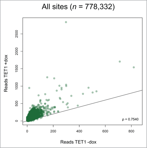 Figure 5. TET1 overexpression leads to increased 5hmC levels at most 5hmC sites. Two T-REx-293-TET1 cell lines in uninduced and induced state were subjected to RRHP. Shown are averaged read counts reflecting 5hmC abundance in TET1-overexpressing (TET1 +dox) and control cells (TET1 -dox). CpG sites with less than 5 reads were considered zero. The black line illustrates a perfect positive correlation. ρ = Pearson correlation coefficient.