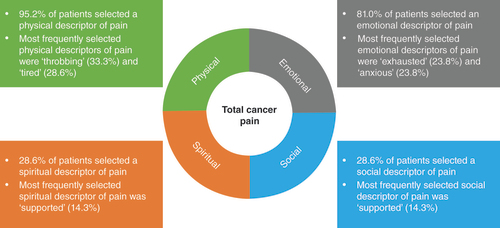 Figure 5. Patient descriptions of total cancer pain using the conversation tool.