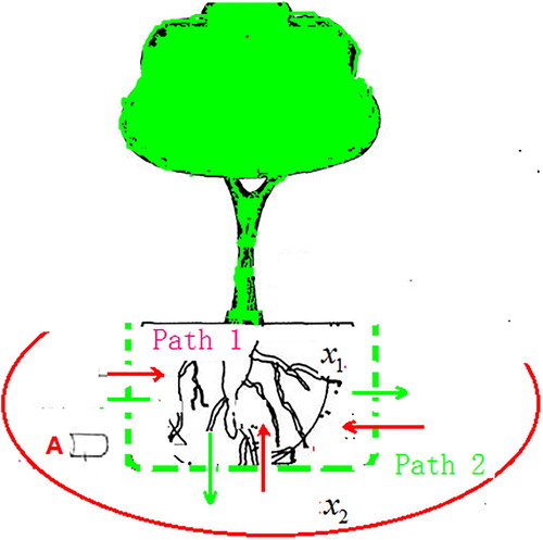 Figure 1. Illustration of the diffusion and impulsive feedback control. A denotes the monitor which can detect concentration of the indigenous microorganism. Patch 1 shows the region of the inoculation microorganism. Patch 2 denotes the region of the indigenous microorganism.