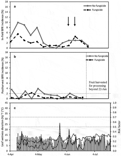 Figure 7. (a) In-field botrytis fruit rot (BFR) incidence and (b) Postharvest BFR incidence for weekly evaluations at field 31 in 2022. The vertical arrows (↓) indicate the date on which fungicides were applied (see Table 5). The horizontal dashed line indicates 2% incidence. Processing fruit production started on 22 Jun. (c) Leaf wetness duration (vertical bars) in continuous hours per day, average temperature during leaf wetness period (dashed line) and BFR risk factor (solid line). The two horizontal dashed lines indicate risk factors of 0.5 and 0.7, respectively.