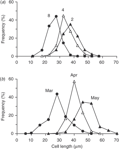 Fig. 3. Cell length distributions of Aulacoseira baicalensis, expressed as relative frequency, are shown for (a) cultures grown in the same microtitre plate in the incubator but in three different light–dark photoperiods, 8-h : 16-h (8), 4-h : 20-h (4) and 2-h : 22-h (2) and (b) for populations under the ice of Lake Baikal on 24 March 1997 (closed circles) and 22 April (open triangles) and after ice break-up 22 May 1997 (closed triangles).