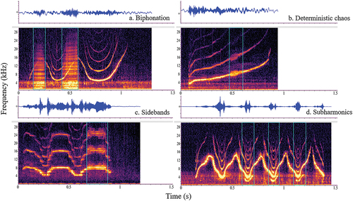 Figure 1. Spectrogram (frequency in kHz on the y-axis (0.0–30.0 kHz), time in seconds on the x-axis (1.5 s time window)) depictions of the four NLP types with corresponding waveforms (located above the spectrogram with relative amplitude on the y-axis and time in seconds on the x-axis) presented in this study. (a) Biphonation (whistle and burst pulses), (b) deterministic chaos, (c) sidebands and (d) subharmonics.