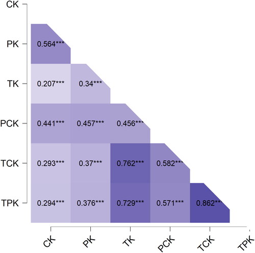 Figure 2. Correlation between the dimensions of compentencies.