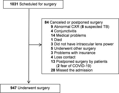 Figure 3 Flow diagram of patients who underwent cataract surgery during the study period.