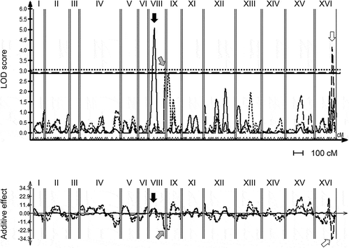 Figure 2. Significant quantitative trait loci (QTLs) involved in THF, 5MTHF, and total folate contents in sake yeast strains.