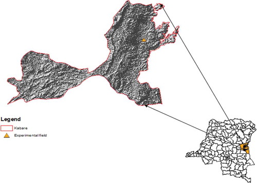 Figure 1. Localisation of field trial in Kabare territory.