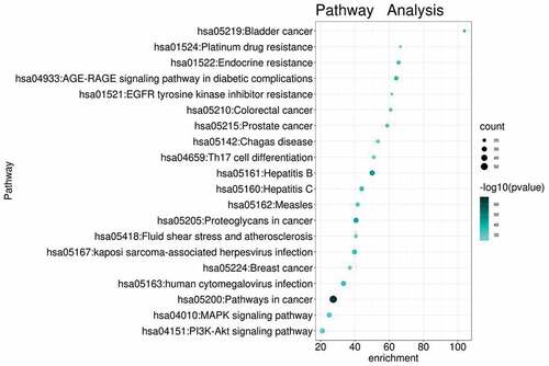 Figure 8. KEGG enrichment analysis of intersected targets between drug and disease. The top 20 KEGG pathways with adjusted P value <0.05 were selected and present in a bubble chart manner. The size of bubble represents the number of targets enriched in the indicated pathway and the color of the bubble represents the P value of enrichment