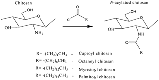 Figure 3 Chitosan derivatization with fatty acyl chlorides.
