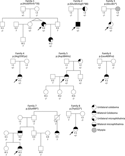 Figure 2. Pedigrees of the eight variants identified in the present study. Probands are indicated by an arrow, unknown genotypes are indicated by “?“.
