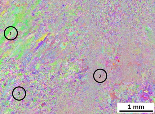 Figure 9. An Example of the heterogeneity in as-deposited E9015-B9 filler metal showing at least three distinct regions [Citation51].Note: The columnar region is highlighted in Region 1. The equiaxed regions are subdivided into fine equiaxed (Region 2) and very fine equiaxed regions (Region 3)