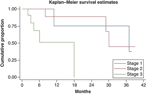 Figure 2. Kaplan–Meier curve showing overall survival with stage.Median overall survival was 37, 30 and 18 months in stage I, II and III, respectively.