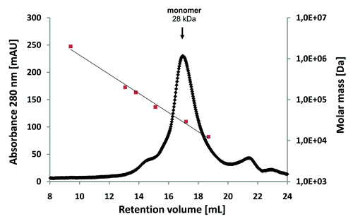 Figure 2. Size-exclusion chromatography of affinity-purified scFv LA13-IIE3 on a calibrated Superdex 200 10/300 GL column. Molar mass calibration (closed orange squares) was done with blue dextran (2,000 kDa), β-amylase (200 kDa), alcohol dehydrogenase (150 kDa), albumin (66 kDa), carbonic anhydrase (29 kDa) and cytochrome C (12.4 kDa).