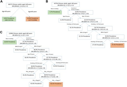 Figure 2 The relative importance of COPD-related risk factors among different subpopulations in mainland China, 2015. (A) Overall population. (B) Subpopulation aged 40 to 59. (C) Subpopulation aged 60 or older.