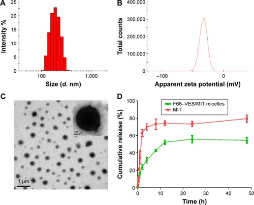 Figure 4 Characterization of F68–VES/MIT micelles.Notes: (A) Size distribution of F68–VES/MIT micelles. (B) Zeta potential of F68–VES/MIT micelles. (C) TEM images of F68–VES/MIT micelles. (D) In vitro accumulative release of MIT from free MIT solution and F68–VES/MIT micelles. Error bar represents the standard deviation value of three experiments.Abbreviations: F68–VES/MIT micelles, mitoxantrone-loaded Pluronic F68-conjugated vitamin E succinate polymer micelles; MIT, mitoxantrone; TEM, transmission electron microscopy.