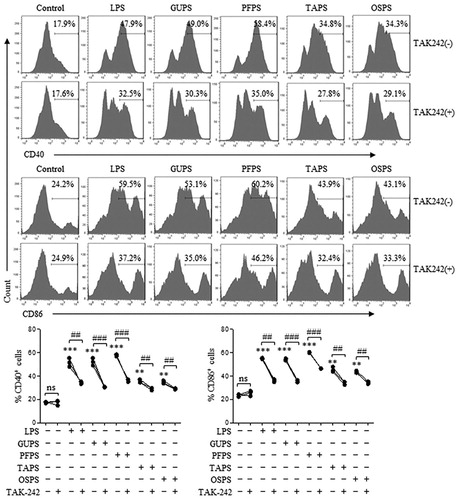 Figure 6. GUPS, PFPS, TAPS and OAPS promoted DC maturation through TLR4. DCs were pretreated with or without TAK-242, and then treated with 20 μg/mL of GUPS, PFPS, TAPS and OSPS for 12 h. The expression of CD40 and CD86 was detected by flow cytometry. Data are from 3 independent experiments. ** p < 0.01; *** p < 0.001 compared to untreated DCs (ANOVA). ## p < 0.01; ### p < 0.001 compared to TAK-242 pretreated DCs (paired t-test).