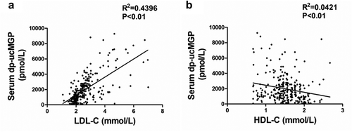 Figure 4. Serum dp-ucMGP positively correlates with LDL-C