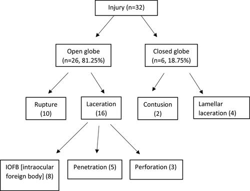 Figure 2 Distribution of ocular injuries according to the Birmingham Eye Trauma Terminology System classification.