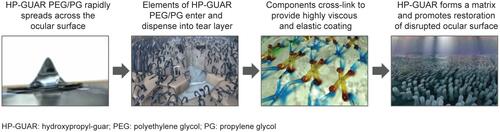 Figure 1 Mechanism of action of PEG/PG with HP GUAR. Image courtesy with permission from Alcon.