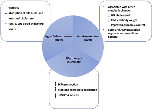 Figure 2. The proposed mechanisms of action of β-glucans on CVD risk parameters; elevated BP and cholesterol with the interaction of the microbiome and potentially other metabolic factors (adapted and modified by Schmidt Citation2022).