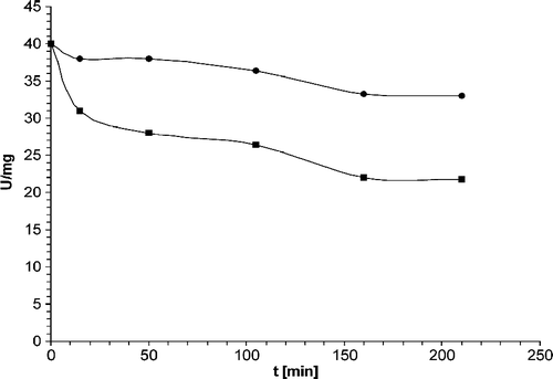 Figure 2.  Inactivation of human muscle-specific enolase by methylglyoxal in 15 mM Tris-HCl buffer, pH 7.0, containing 3 mM MgSO4: black squares – modified enzyme and black circles – native enzyme. Reaction mixture containing 15 μM enolase (40 U/mg) was incubated with 2 mM MG at 37°C in the dark for 210 min. Modification process was stopped by addition of 10 μL of lysine solution (4 mg/mL) to bind the noncupled MG in reaction mixture. Aliquots containing 10 μg of protein were withdrawn at indicated time intervals for enzyme specific activity determination.