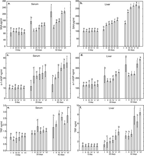 Figure 1. One-way ANOVA and subsequent Tukey’s test for acute phase proteins (APPs) concentration in chicken serum (a, c, and e), and liver tissue (b, d, and f). Statistical differences (P ≤ .05) are marked with different letters. SAA – serum amyloid A, α-1-AGP – alpha-1-acid glycoprotein, TRF – transferrin. I – control group, II – VI – experimantal groups.