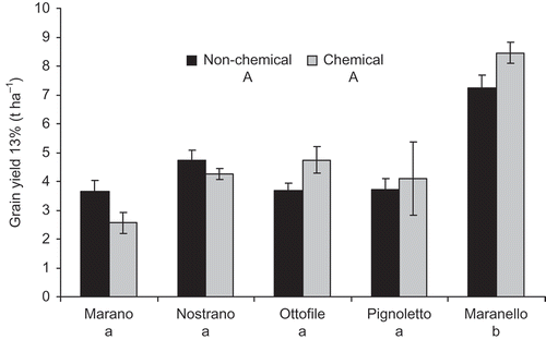 Figure 3. Maize grain yield at 13% moisture content.